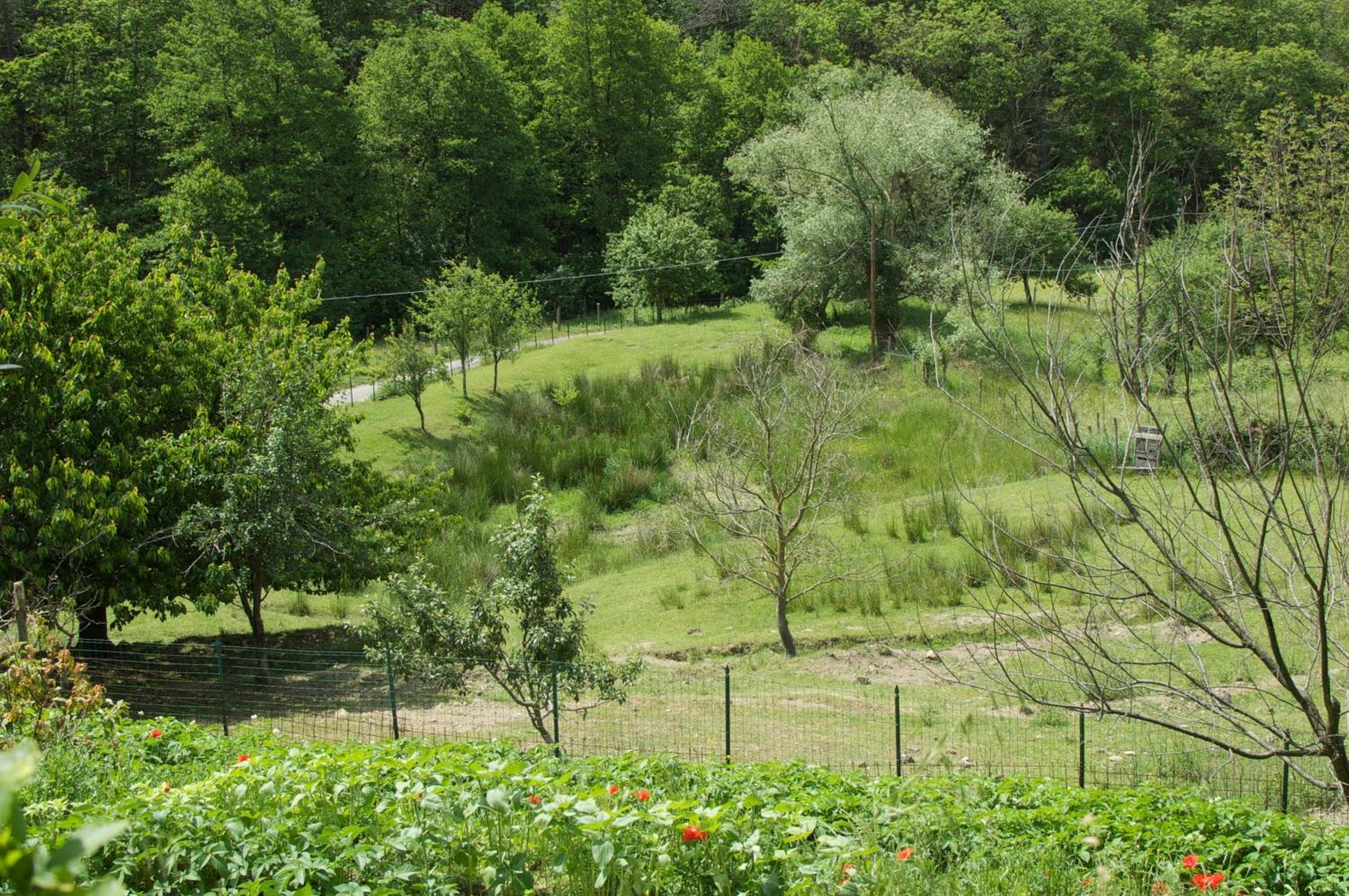 Affittacamere Graziella Vernazza Extérieur photo