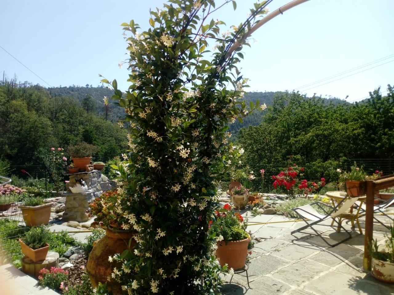 Affittacamere Graziella Vernazza Extérieur photo